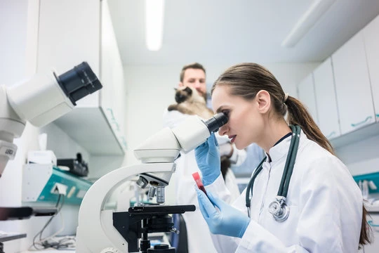 Exames laboratoriais pet