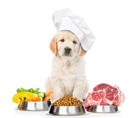 Nutricionista para cachorro em Uberlândia